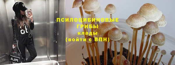 спиды Армянск