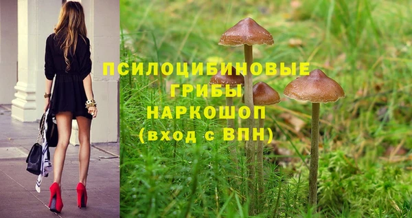 меф Арсеньев