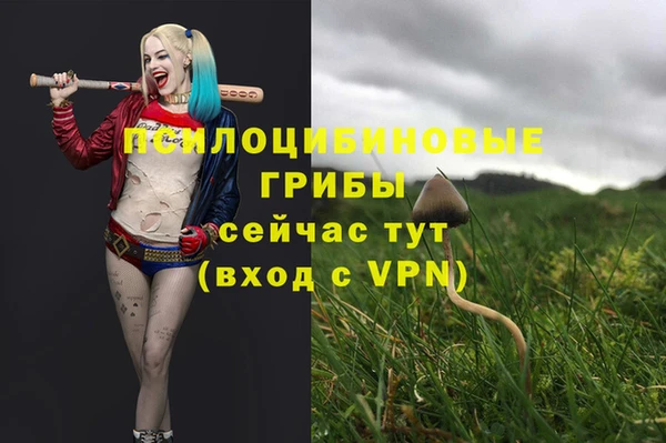 спиды Армянск