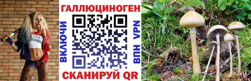 MEGA tor  купить наркотик  Орёл  Псилоцибиновые грибы мицелий 